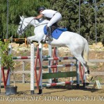 berlin's campionat regionali 1