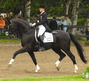 stallone_dressage_Hannover_De_Niro_foto1