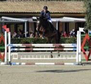 KENIA DEI FOLLETTI S.I. 2013 Femmina  da Kannan