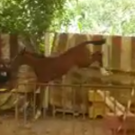 20180619_134111
